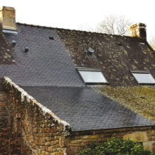 Démoussage en Meuse et Lorraine